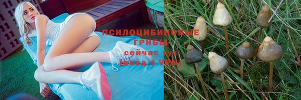 PSILOCYBIN Лиски