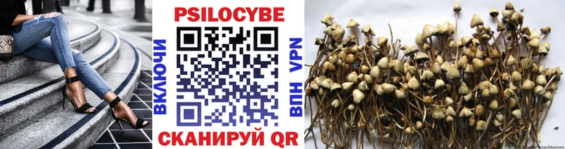 Псилоцибиновые грибы MAGIC MUSHROOMS  Купить закладки  Трубчевск 